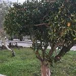 アパート Banos And Swimming Pool